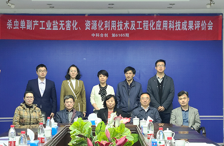 杀虫单副产工业盐无害化、资源化利用技术及工程化应用 anli.jpg